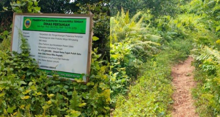 Kontraktor Proyek Jalan Tani Woyo Minyasang Halmahera Tengah Maluku Utara Terancam Putus Kontrak