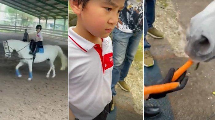 Rafathar Jatuh saat Menunggangi Kuda, Raffi Ahmad Tetap Beri Semangat: Anak Laki Harus Kuat