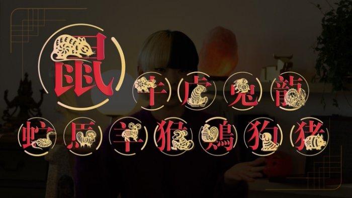 10 Shio Ini Diprediksi Beruntung Kamis, 29 Juli 2021: Shio Macan Waktunya Atur Keuangan