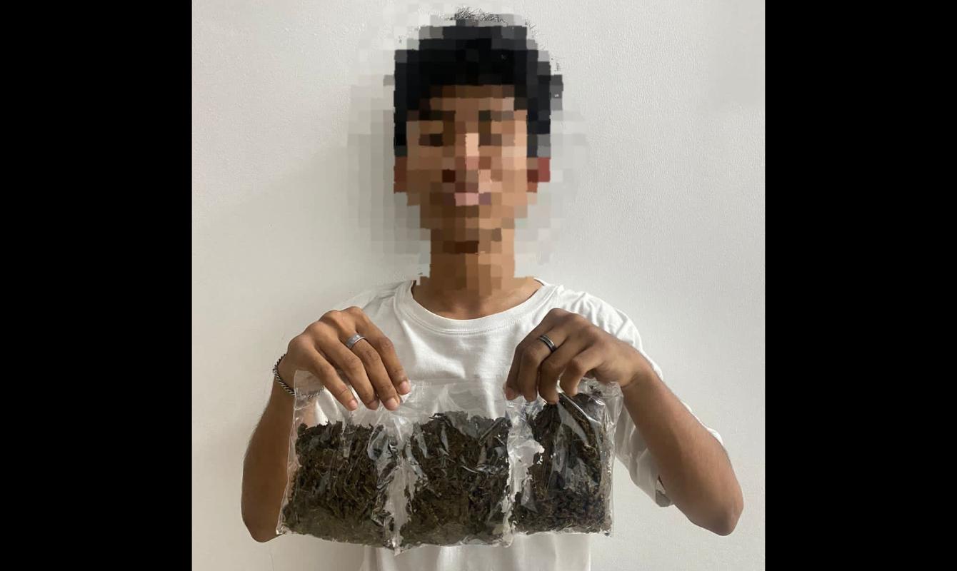 remaja-18-tahun-di-Ternate-ditngkap-Polisi-gegara-udarkan-ganja.jpg