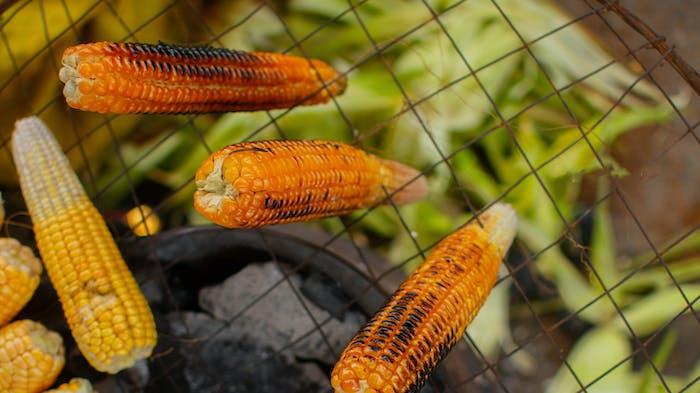 Resep Jagung Bakar untuk Rayakan Tahun Baru 2024, Pakai 3 Bumbu Olesan yang Berbeda