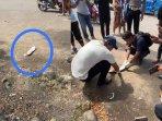 Viral Warga Sofifi Maluku Utara Temukan Bungkusan Mirip Pocong, Isinya Bikin Geleng Kepala
