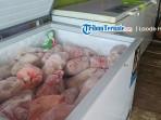 Harga-Daging-Sapi-dan-Ayam-di-Taliabu-Hari-Ini-Kamis-11-September-2025.jpg
