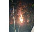 Hutan-terbakar-di-Desa-Ratahaya-Pulau-Taliabu.jpg