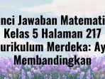 Kunci-Jawaban-Matematika-Kelas-5-Halaman-217.jpg