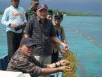 Panen-rumput-laut-di-Desa-Madopolo-Halmahera-Selatan.jpg