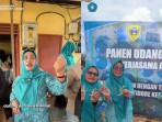 Panen-udang-vaname-di-Tidore.jpg