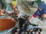 Produksi-gula-aren-di-Halmahera-Selatan.jpg