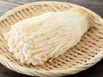ilustrasi-jamur-enoki.jpg
