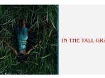 in-the-tall-grass-fidjvb.jpg