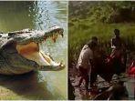 pria-dari-sulawesi-barat-tewas-usai-bergulat-dengan-buaya.jpg