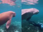 sherly-laos-main-dengan-dugong.jpg