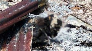 18052023_korban_kebakaran.jpg