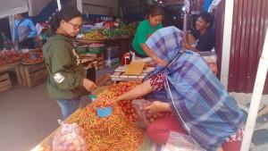 22092025_harga_tomat.jpg