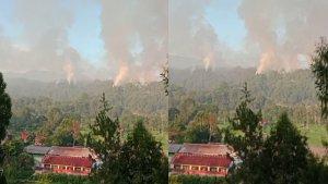 26102023_kebakaran_hutan.jpg