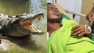 Kolas4e2.jpg