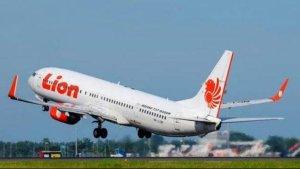 ilustrasi-pesawat-lion-air-1952023.jpg