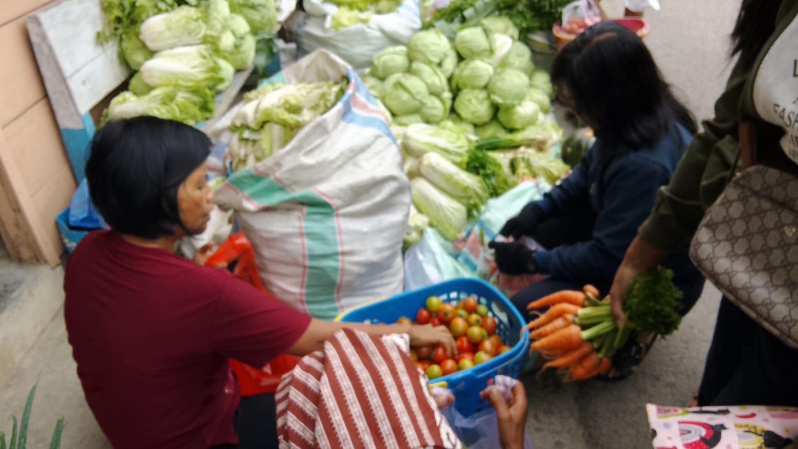 harga-tomat-2.jpg