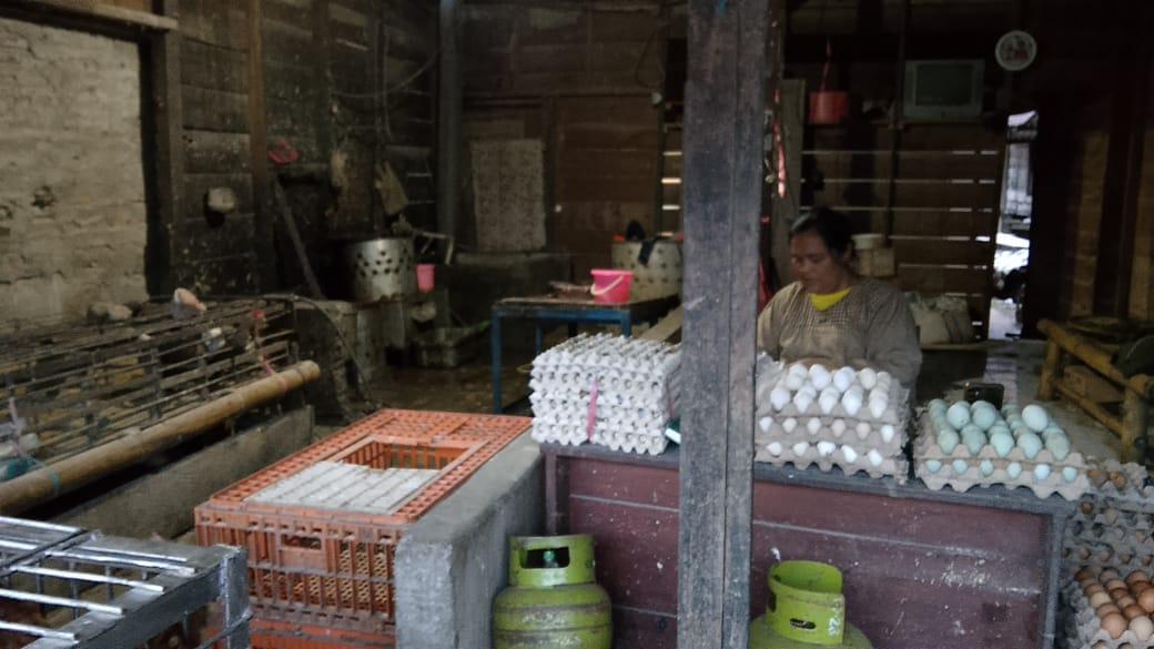 pedagang-telur-ayam-bebek-mama-pendi-pasar-makale-tana-toraja-30112025.jpg