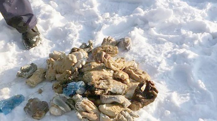 54 Potongan Tangan Ditemukan Dalam Tas di Siberia Dekat Perbatasan China, dari Mana Asalnya?