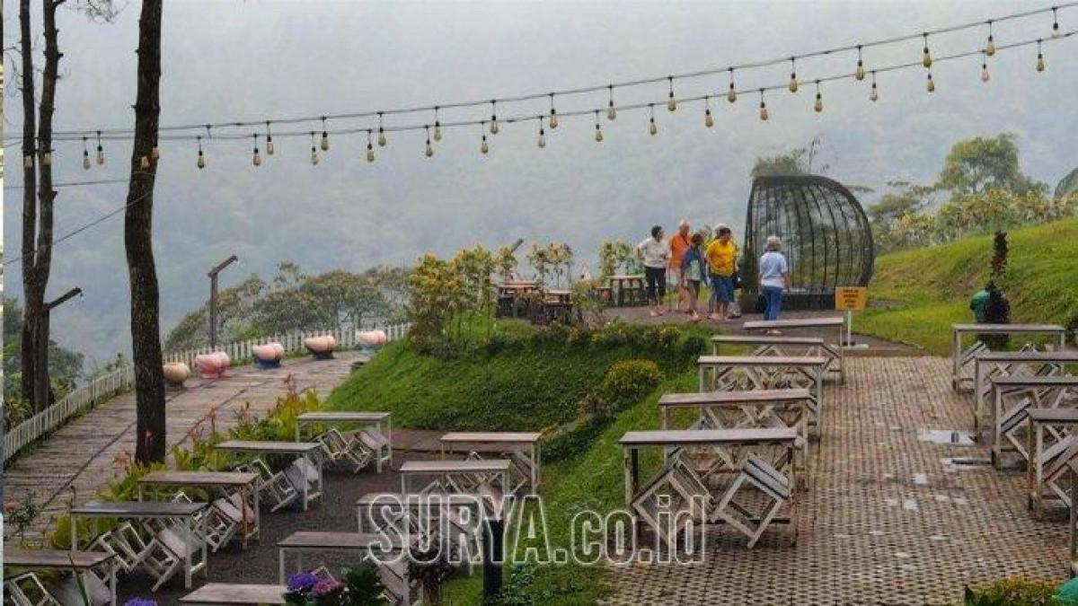 WISATA HITS - Spot hutan pinus (Sky Resto) dan Aurora Resto dengan latar belakang pemandangan Gunung Welirang, yang menjadi tempat selfie favorit pengunjung di wisata Aone Trawas.