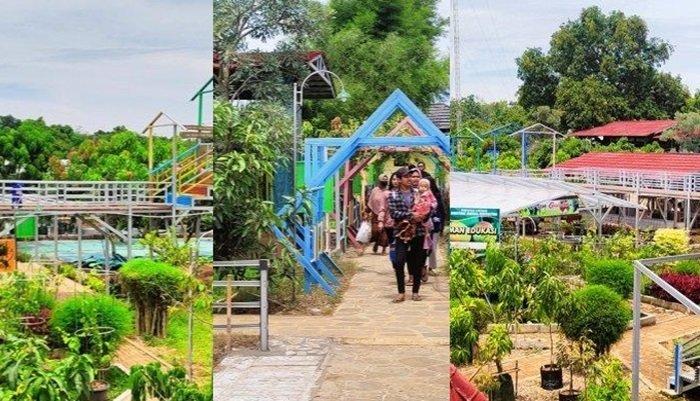 Agroeduwisata Situ Bolang, Tempat Wisata Edukatif di Cikedung, Indramayu, Jawa Barat yang Lagi Hits