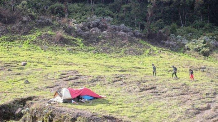 Alun-alun Suryakencana Taman Nasional Gunung Gede Pangrango (TNGGP) di Jawa Barat.