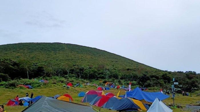 PENDAKIAN GUNUNG GEDE - Alun-alun Suryakencana Gunung Gede-Pangrango, Kamis (15/6/2023). Traveler yang ingin mendaki Gunung Gede, bisa menyimak itinerary yang telah TribunTravel siapkan dengan bujet Rp 428 ribuan.