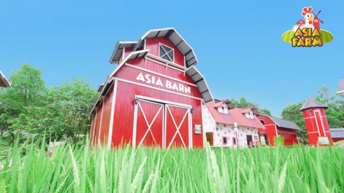 Asia Farm Hayday, tempat wisata populer di Pekanbaru, Riau.