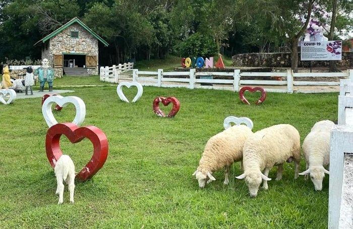Asia Farm Pekanbaru Jadi Pilihan Wisata Murah untuk Liburan Akhir Pekan, Cek Harga Tiket Masuknya