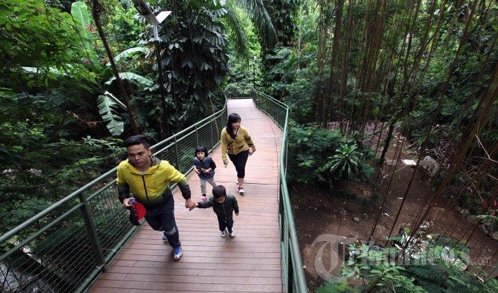 BABAKAN SILIWANGI BANDUNG - Satu keluarga berjalan kaki menembus rindangnya pepohonan di atas Forest Walk Babakan Siliwangi seusai diresmikan di Jalan Siliwangi, Kota Bandung, Rabu (17/1/2018). Forest Walk yang membentang sepanjang 2 kilometer itu khusus untuk pejalan kaki yang ingin menikmati suasana kawasan hutan kota Babakan Siliwangi tanpa harus menembus lebatnya hutan.