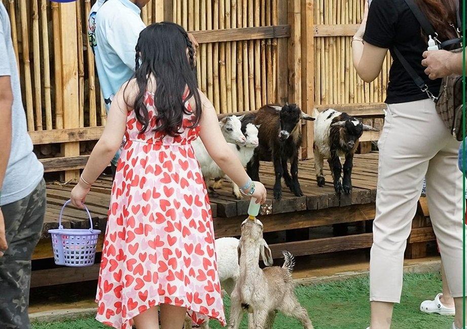 Batam Zoo Paradise, tempat wisata baru di Riau buat liburan seru bareng keluarga.