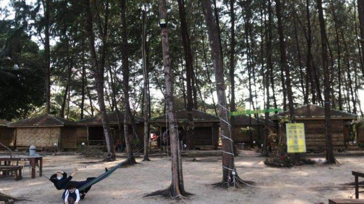 Wisata Hutan Pinus Bintan Blue Coral, Pilihan Rekreasi saat Pandemi. Foto Wisata Hutan Pinus yang terletak di dalam Bintan Blue Coral (BBC) di pinggir jalan pantai Desa Teluk Bakau, Kabupaten Bintan, Provinsi Kepri.