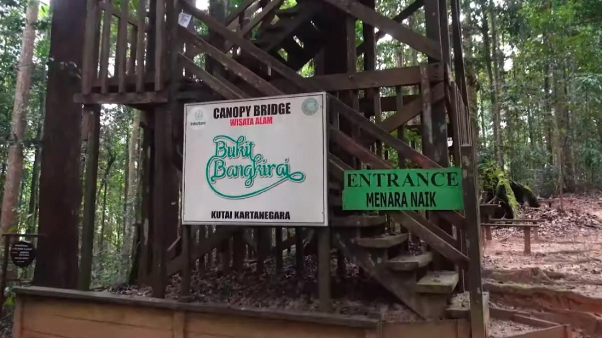 Bukit Bangkirai Kutai Kartanegara bisa jadi pilihan wisata keluarga ramah di kantong