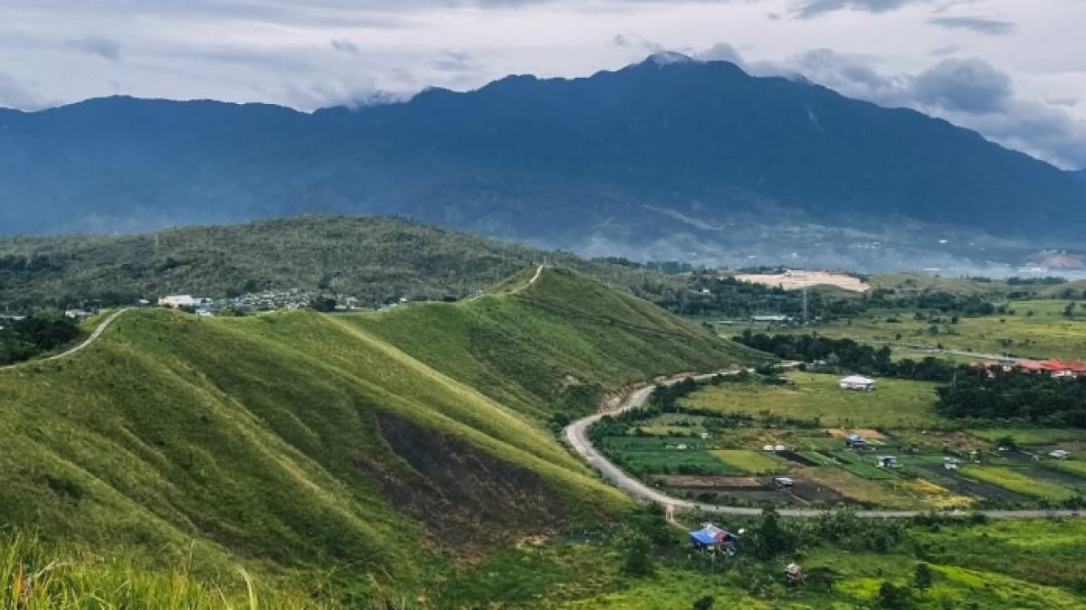 Bukit Teletubbies atau Bukit Tungkuwiri, tempat wisata alam populer di Jayapura, Papua.