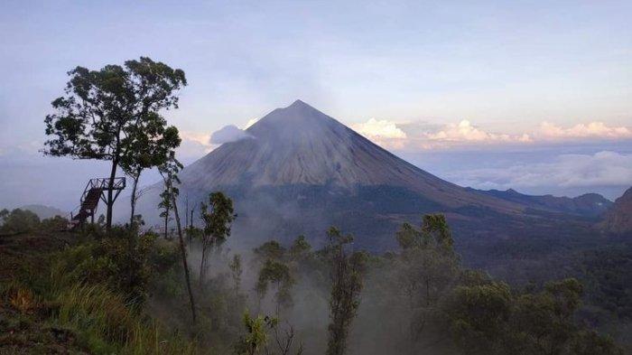 Panduan Wisata ke Bukit Wolobobo Flores, Bisa Lihat Watunariwowo yang Disebut Mirip Animasi Avatar
