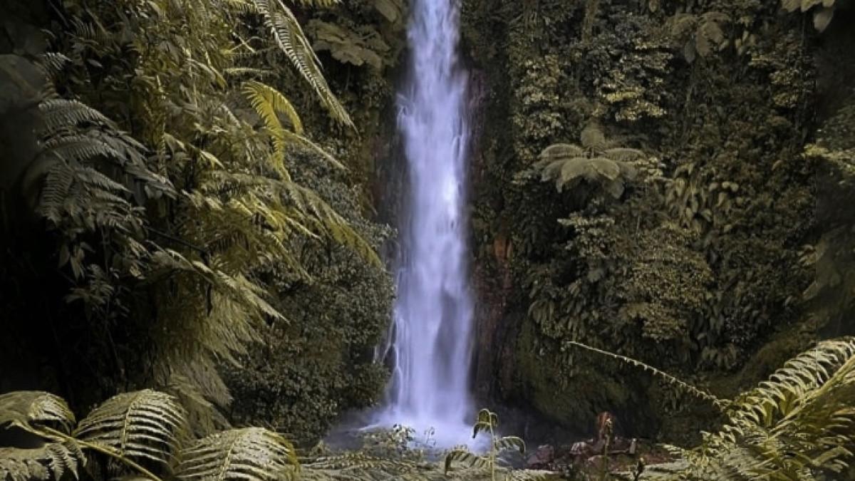 Curug Pasir Reungit, tempat wisata hidden gem di Pamijahan Bogor, Jawa Barat.