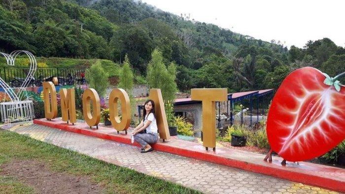 Wisata D’Moaat Strawberry di Mooat, Boltim, Sulawesi Utara: Cocok untuk Healing di Tepi Danau