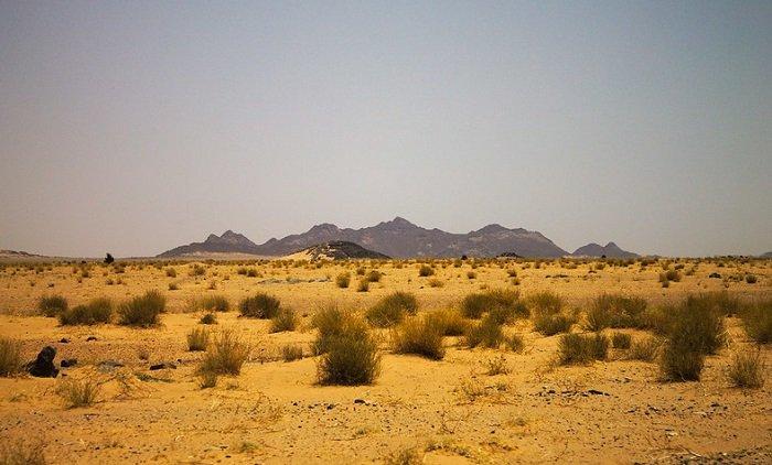 Heboh Studi Baru Menemukan Homo Sapiens Sudah Muncul di Afrika Lebih dari 300 Ribu Tahun Lalu