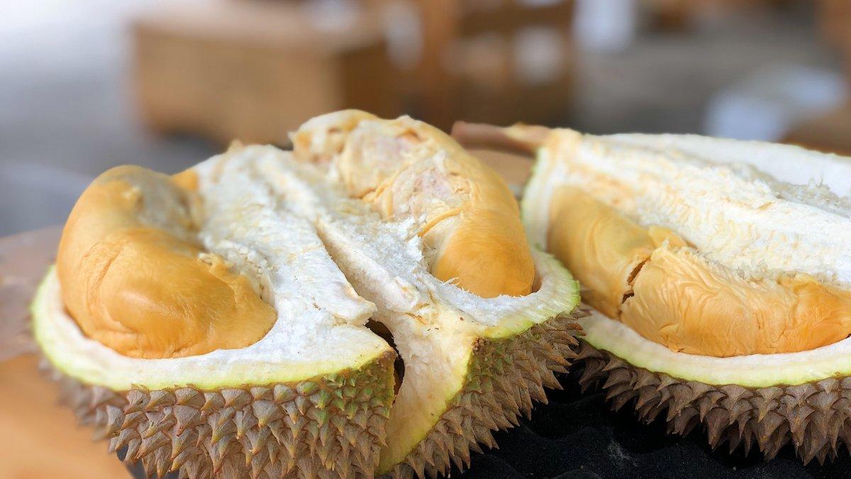 5 Tempat Beli Durian Terbaik di Singapura, Cek Lokasi dan Jam Buka