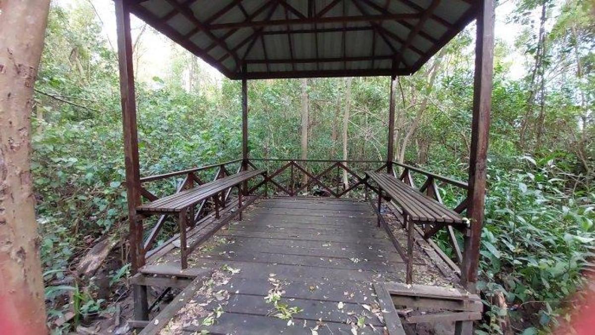 Fasilitas gezebo yang tersedia di Wisata Mangrove Tanjung Dewa, Kabupaten Tanah Laut, Kalimantan Selatan.