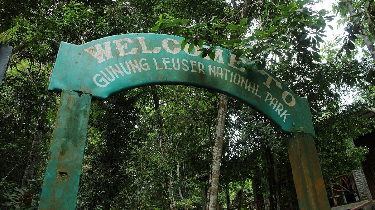 Gerbang masuk menuju Gunung Leuser, Aceh
