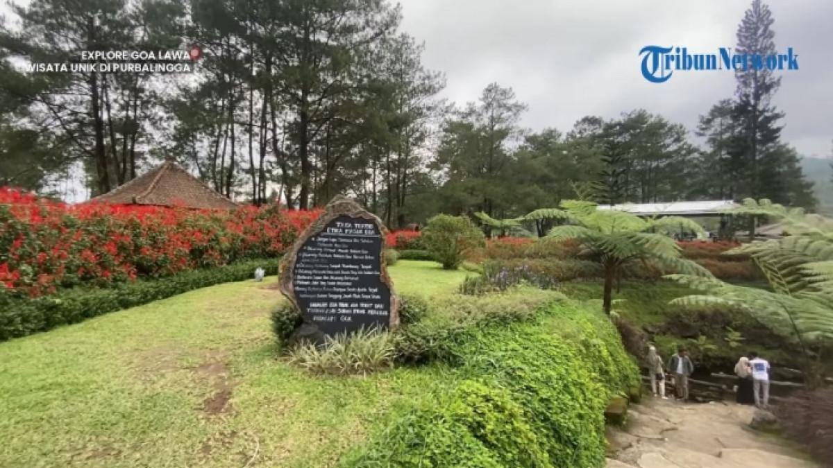 Goa Lawa Purbalingga, tempat wisata alam di Purbalingga, Jawa Tengah untuk liburan akhir pekan.