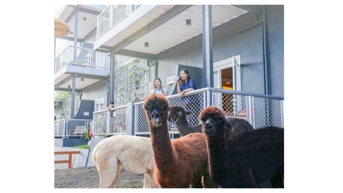 Griya Persada Convention Hotel & Resort Kaliurang