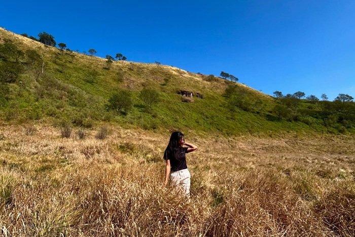 PENDAKIAN GUNUNG KEMBANG - Para pendaki menembus kelebatan belantara Gunung Kembang di Wonosobo, Jawa Tengah, Jumat (20/6/2025).