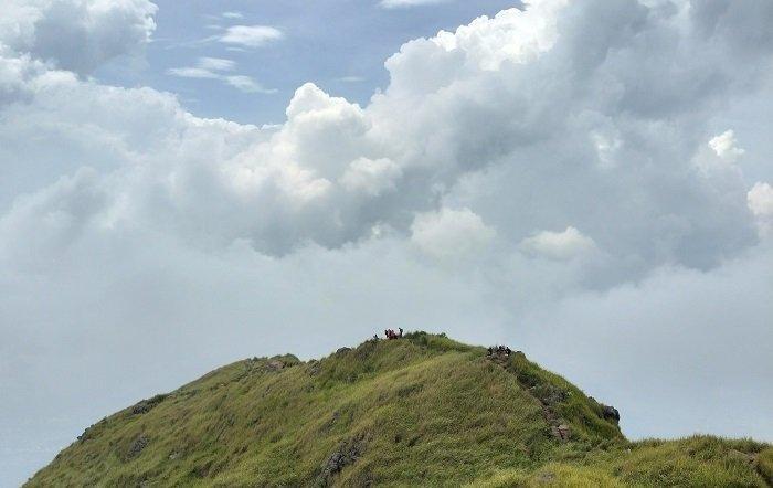 GUNUNG UNGARAN - Para pendaki tengah melakukan pendakian Gunung Ungaran.