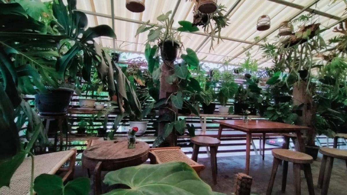 Hutan Lokal, tempat makan instagramable di Sukoharjo, Jawa Tengah, Minggu (28/11/2021).