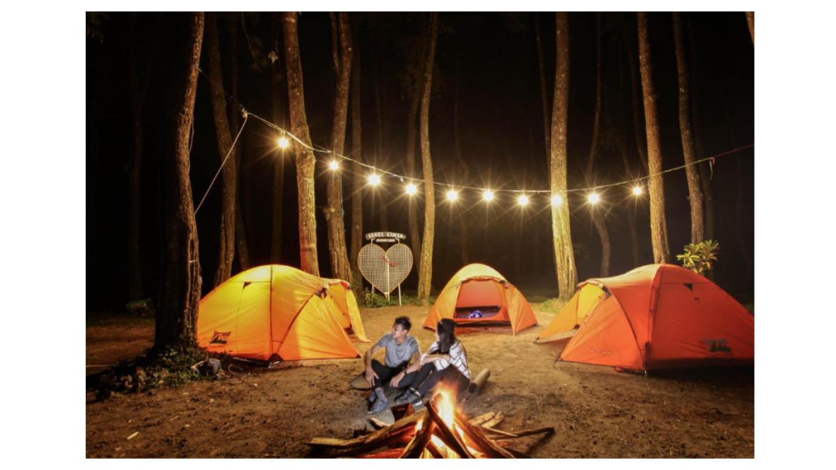 Hutan Pinus Loji, Gandusari, Blitar, Jawa Timur