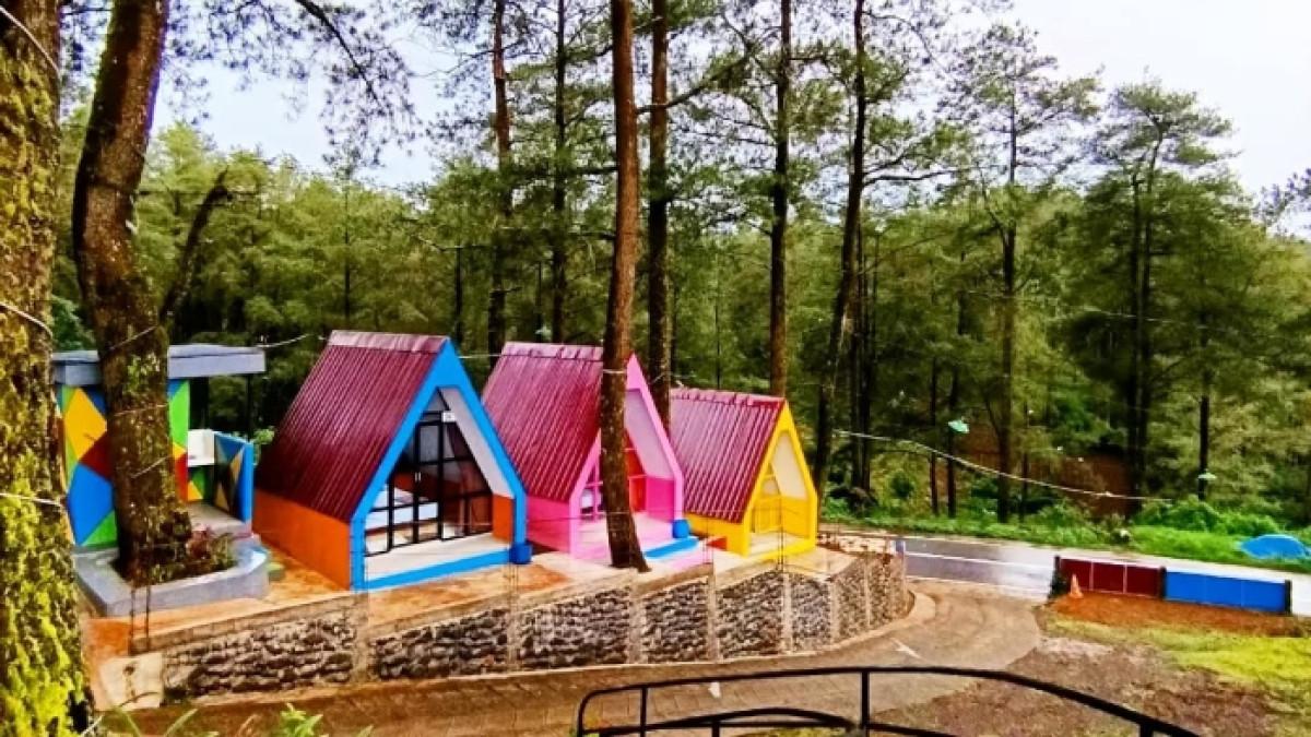 Hutan Pinus Malino, wisata populer di Malino, Kabupaten Gowa, Sulawesi Selatan.