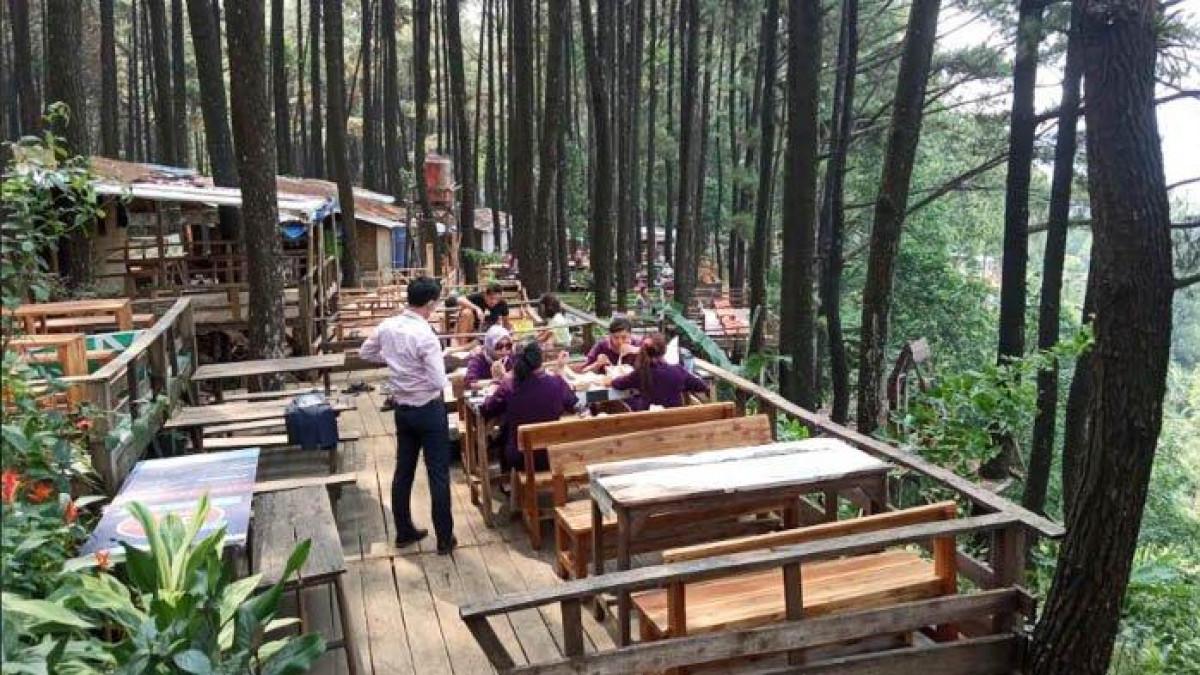 Hutan pinus menjadi atraksi utama Gunung Pancar di Babakan Madang, Kabupaten Bogor.